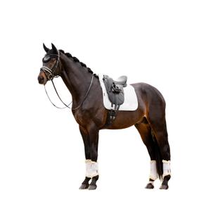 product/l/e/lemieux_it04884004_white_2.jpg