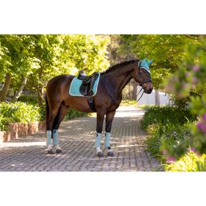 product/l/e/lemieux_it05951005_2.jpg