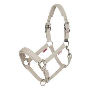 it06280007-licol-pour-cheval-lemieux-finesse-stone