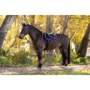 product/l/e/lemieux_it08149_005.jpg