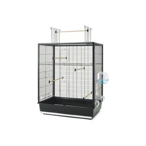 product/n/o/nobby-pet_20711.jpg