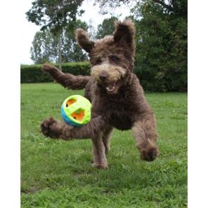 product/n/o/nobby-pet_60032_1.jpg