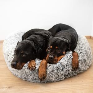 product/n/o/nobby-pet_61764_1.jpg