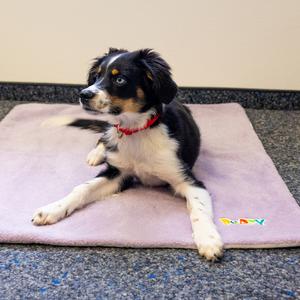 product/n/o/nobby-pet_61874_2.jpg
