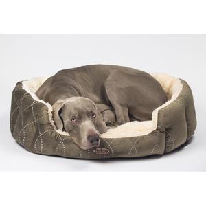 product/n/o/nobby-pet_70868_1.jpg