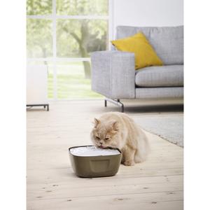 product/n/o/nobby-pet_72236_0.jpg