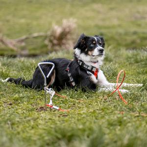 product/n/o/nobby-pet_73060_3.jpg