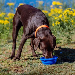 product/n/o/nobby-pet_73324_2.jpg