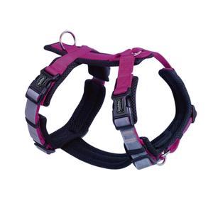 80449-64-harnais-pour-chien-nobby-pet-daily-walk-comfort-purple-m