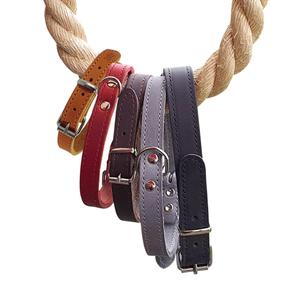 product/n/o/nobby-pet_80920-01_1.jpg