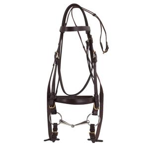 301998018-bridons-equitation-norton-club-havane-cheval
