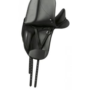 product/n/o/norton-pro_116003150_2.jpg
