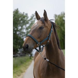 510248209-licol-pour-cheval-satine-norton-vert-fonce