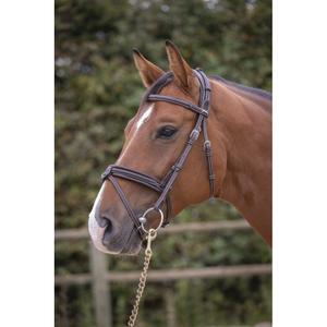 product/p/e/penelope_301_605_318.jpg