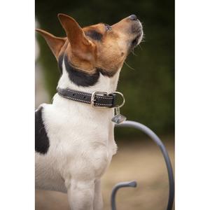 409825230-collier-pour-chien-penelope-olie-noir