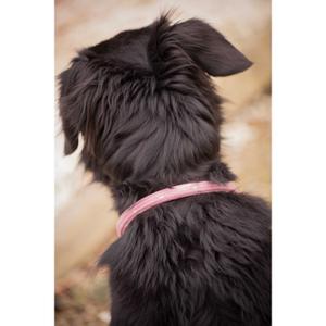 product/p/e/penelope_409826440_rose_3.jpg