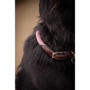 product/p/e/penelope_409826440_rose_4.jpg