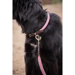product/p/e/penelope_409826440_rose_6.jpg