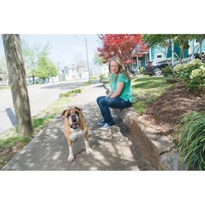 product/p/e/petsafe_cy0985_1.jpg