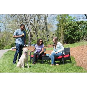 product/p/e/petsafe_cy0986_2.jpg