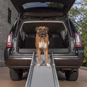 product/p/e/petsafe_cy1295_2.jpg