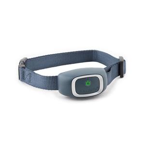 product/p/e/petsafe_cy1310_0.jpg