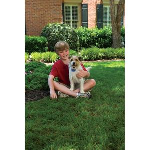 product/p/e/petsafe_cy2200_3.jpg