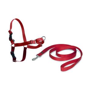 cy3119-harnais-pour-chien-petsafe-easy-walk-rojo-xl