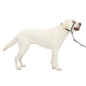 product/p/e/petsafe_cy3600_1.jpg