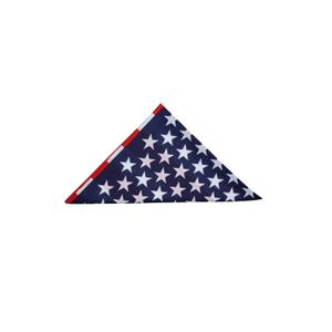 product/p/o/pool-s_ab00241a-usaflag_rouge-bleu_1.jpg