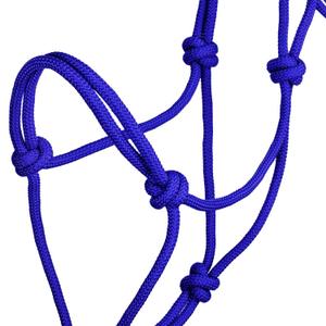 product/p/o/pool-s_ca00129-royal-blue_royal-blue_3.jpg