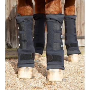 1001-m-1001-l-guetres-de-box-premier-equine-black