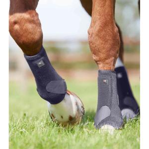 product/p/r/premier-equine_1029xxsg_4.jpg
