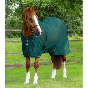 202150gre-chemise-sechante-en-mesh-pour-cheval-premier-equine-ventoso-green