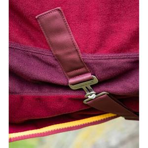 product/p/r/premier-equine_209050brg_4.jpg