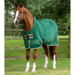 209050g-couverture-polaire-sechante-pour-cheval-premier-equine-buster-continental-280g-green