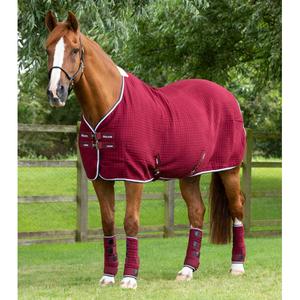 209450brg-chemise-sechante-pour-cheval-premier-equine-premtex-burgundy