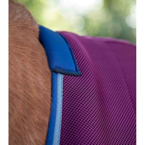 product/p/r/premier-equine_218456brg_burgundy_2.jpg