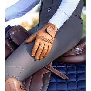 product/p/r/premier-equine_4069-xstn_1.jpg