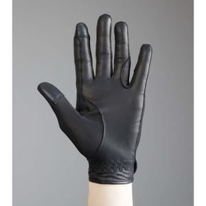 product/p/r/premier-equine_4073lblk_5.jpg