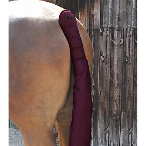 product/p/r/premier-equine_6010brg_1.jpg