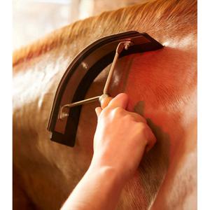 product/p/r/premier-equine_6052_2.jpg