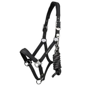 6151pblk-licol-nylon-pour-cheval-premier-equine-duco-black