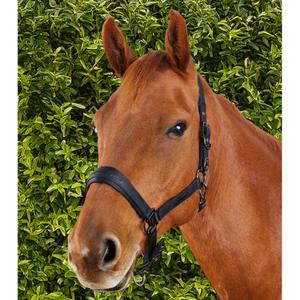 product/p/r/premier-equine_6151cblk_black_6.jpg