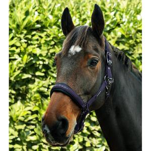product/p/r/premier-equine_6151cgra_grape_6.jpg