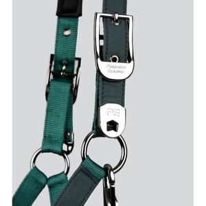 product/p/r/premier-equine_6151cgrn_green_2.jpg