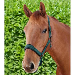 product/p/r/premier-equine_6151cgrn_green_6.jpg