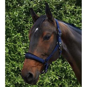 product/p/r/premier-equine_6151cnvy_navy_6.jpg