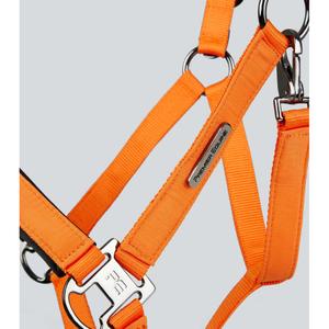 product/p/r/premier-equine_6151corg_orange_3.jpg