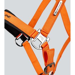 product/p/r/premier-equine_6151corg_orange_4.jpg